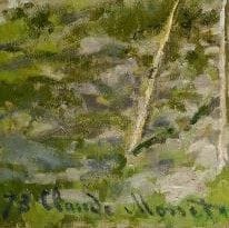 Examples of Monet signature backgrounds