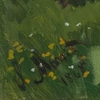 Examples of Monet signature backgrounds